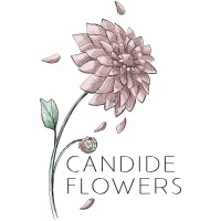 Candide Flowers Logo