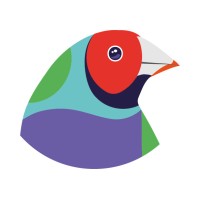 DIGIVIZIO Logo