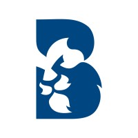 Grupo Bravom Logo