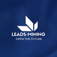 Leads-Mining PVT LTD Logo