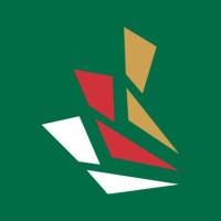 Italian International School Abu Dhabi Logo