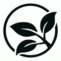 Koeda Consulting Logo