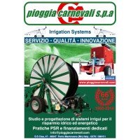 Pioggia carnevali s.p.a. Logo