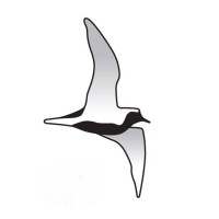Wild Frontier Ecology Ltd Logo