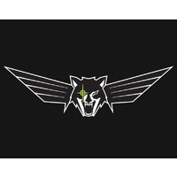 Sky Wolf Solutions Logo