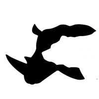 WildLandscapes International Logo