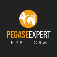 PEGASE INFORMATIQUE Logo