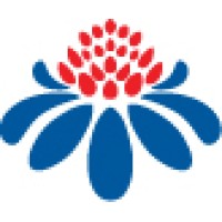 The Rugby Club Foundation Logo