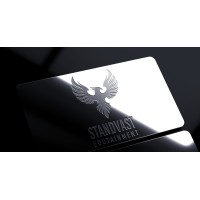 Standvast Edutainment Logo