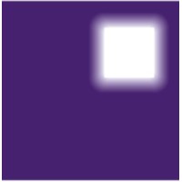 Constructing Excellence Essex Logo