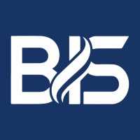 Bennett Intelligent Solutions LLC Logo