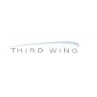 Third Wing Business Strategies, LLC Logo
