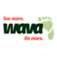 WAVA Limited Logo
