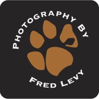Fred Levy Photography Logo