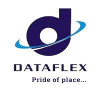 DATAFLEX NIGERIA LIMITED Logo