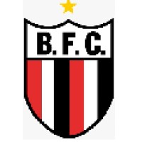 Botafogo Futebol SA Logo