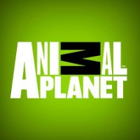 Animal Planet Logo