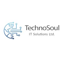 TechnoSoul IT Solutions Ltd. Logo