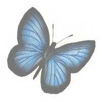 Casa Stacy Logo