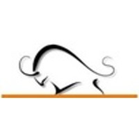 Ebullient Securities Pvt Ltd Logo