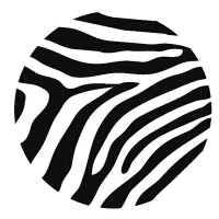 ZEBRA ARCHITECTS LIMITED Logo