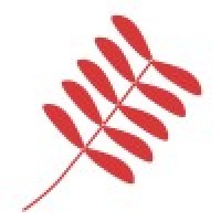 Matinecock Capital LLC Logo