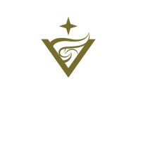 Visions of Success Logo