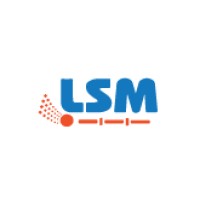 LSM S.r.l. Logo