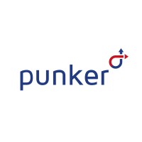 punker LLC Logo