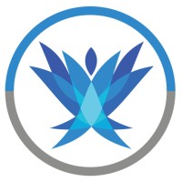 Training Camp Logo