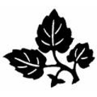 Maxalea, Inc. Logo