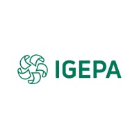 Igepa Nederland B.V. Logo