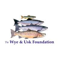 THE WYE AND USK FOUNDATION Logo