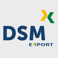 DSM Export Logo