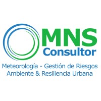 MNS Consultor Logo