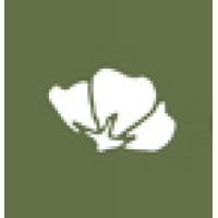 Orient Import Oy Logo