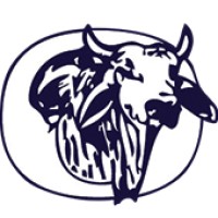 Okeechobee High School Logo