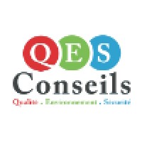 Q.E.S. Conseils Logo