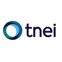 TNEI Logo