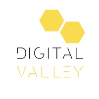 DigitalValley® Logo
