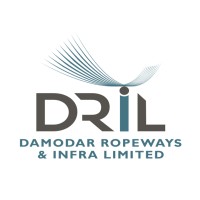 DAMODAR ROPEWAYS & INFRA LIMITED Logo
