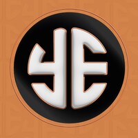 Y ESPORTS Logo