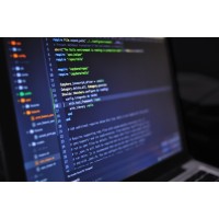 Self-Taught Developer Logo