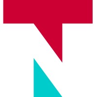 N3TEAM AG Logo