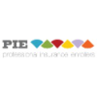 Professional Insurance Enrollers Logo
