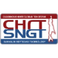 SNGT LLC Logo