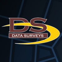 Data Surveys Inc Logo