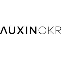 AuxinOKR – Specialists in Objectives & Key Results Logo