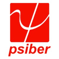 Psiber Data Systems Logo