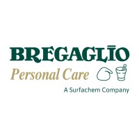 Bregaglio S.r.l. Logo